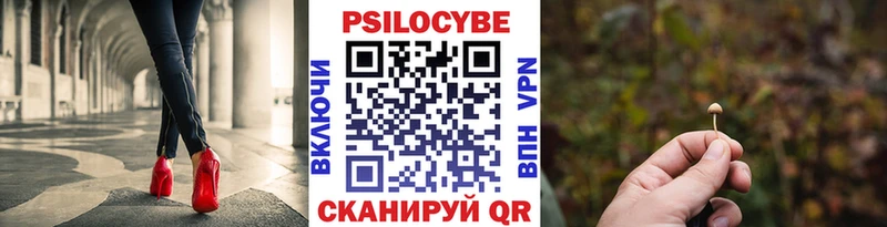 Купить  Собинка  Псилоцибиновые грибы GOLDEN TEACHER 